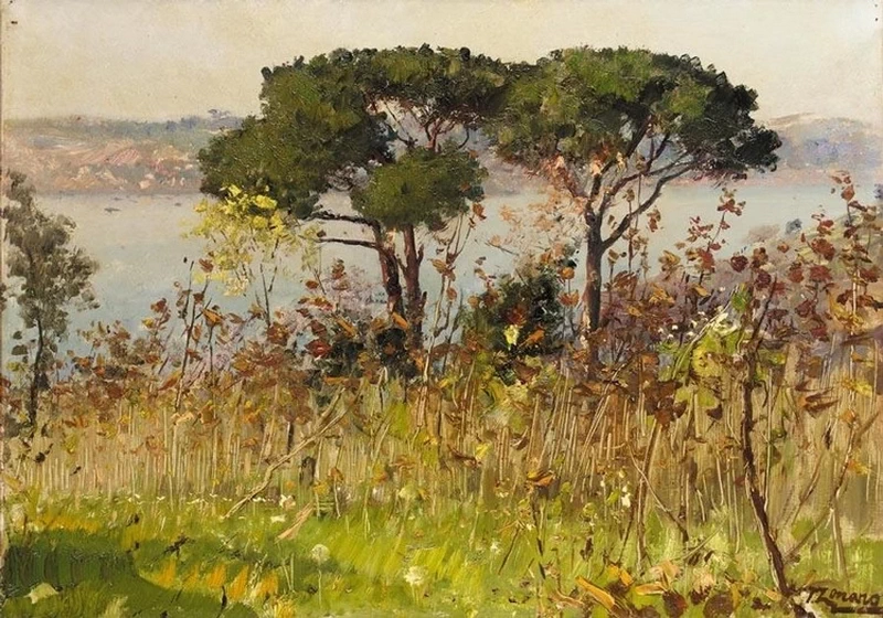 Due pini sulle colline sopra Beylerbeyi, Instanbul
